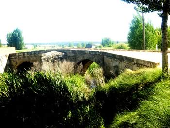 El Puente Canto El Puente Canto
